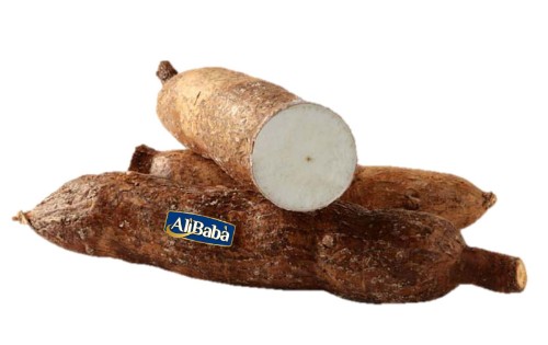 Cassava / Yuca