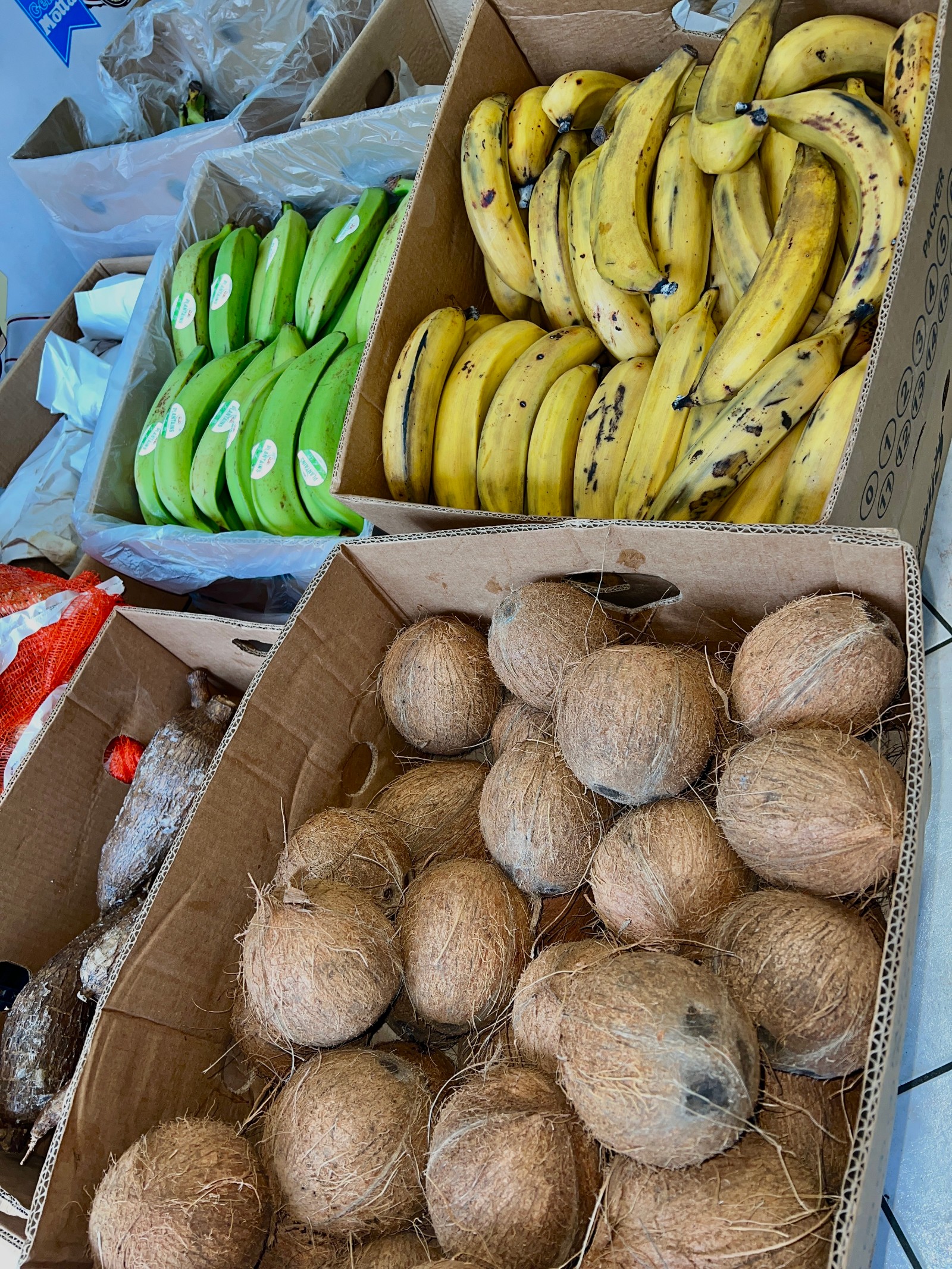 Platani e cocco nel nostro negozio